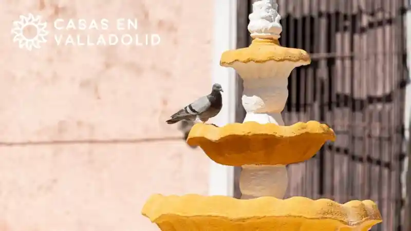 Costo de vida en Valladolid, Yucatán