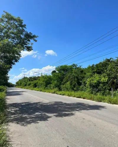 Terreno en México, Yucatán, Valladolid, foto 3