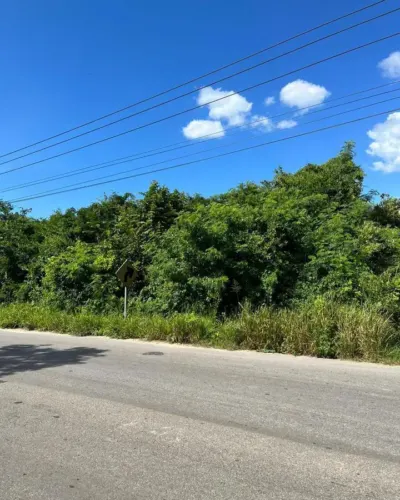Land in México, Yucatán, Valladolid, photo 5