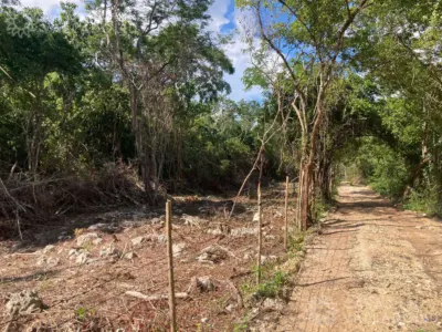 Land in México, Yucatán, Chichimilá, photo 2