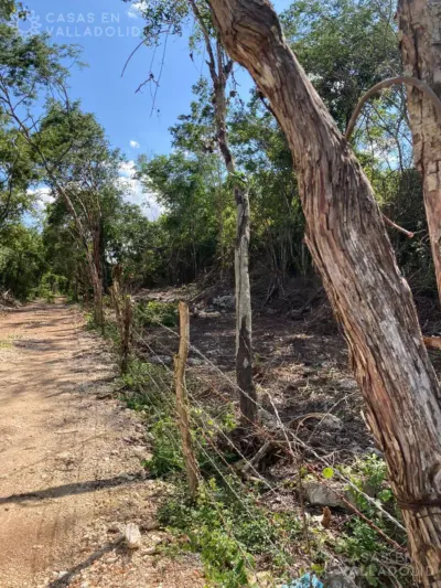 Land in México, Yucatán, Chichimilá, photo 3