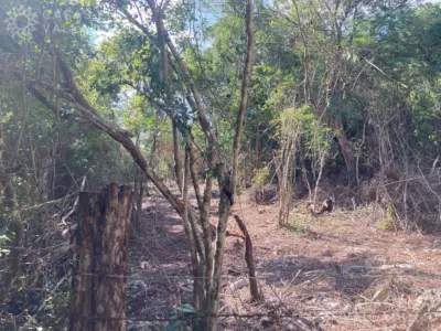 Land in México, Yucatán, Chichimilá, photo 4