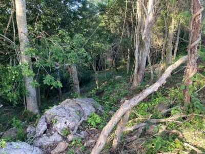 Land in México, Yucatán, Valladolid, photo 8