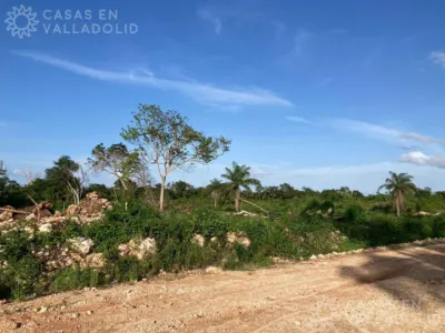 Land in México, Yucatán, Valladolid, photo 9