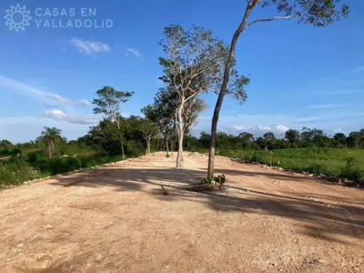 Land in México, Yucatán, Valladolid, photo 10