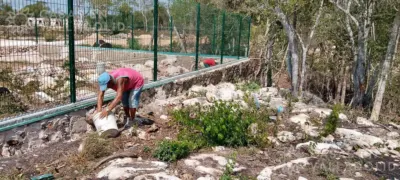 Land in México, Yucatán, Valladolid, photo 17