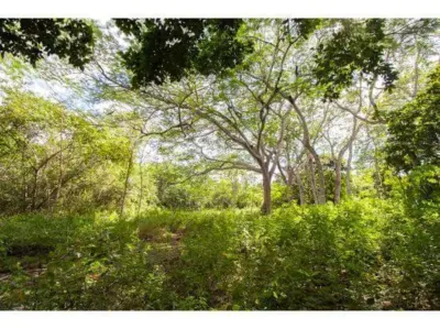 Terreno en México, Yucatán, Temozón, Pueblo Temozon, foto 11