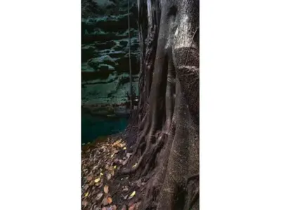 Terreno en México, Yucatán, Temozón, Pueblo Temozon, foto 16