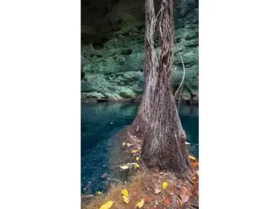 Terreno en México, Yucatán, Temozón, Pueblo Temozon, foto 22