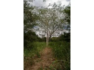 Terreno en México, Yucatán, Temozón, Pueblo Temozon, foto 27