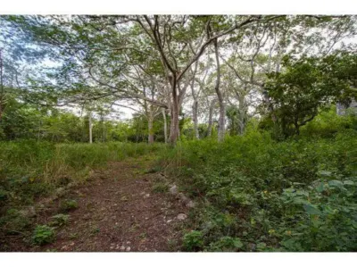 Terreno en México, Yucatán, Temozón, Pueblo Temozon, foto 30