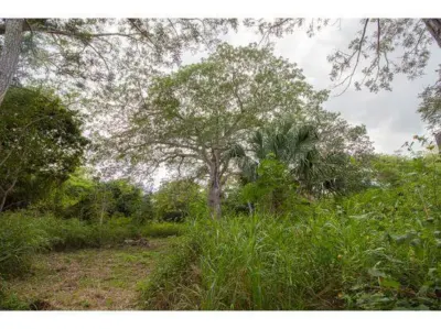Terreno en México, Yucatán, Temozón, Pueblo Temozon, foto 31