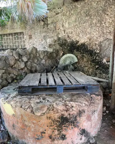 House in México, Yucatán, Tinum, photo 12