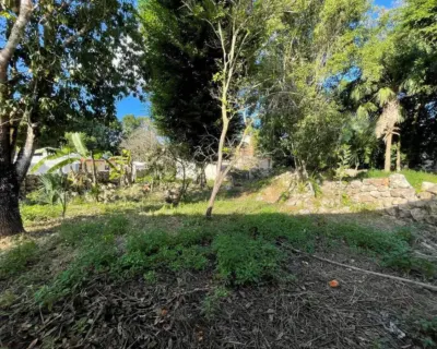 House in México, Yucatán, Tinum, photo 15