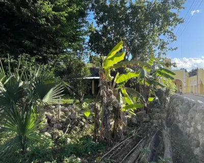 House in México, Yucatán, Tinum, photo 16