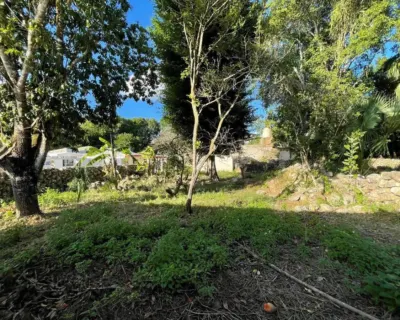 House in México, Yucatán, Tinum, photo 18