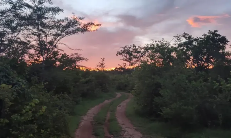 Land in México, Yucatán, Valladolid, photo 1