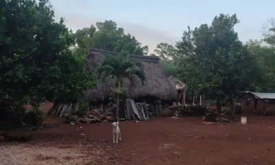 Land in México, Yucatán, Valladolid, photo 2