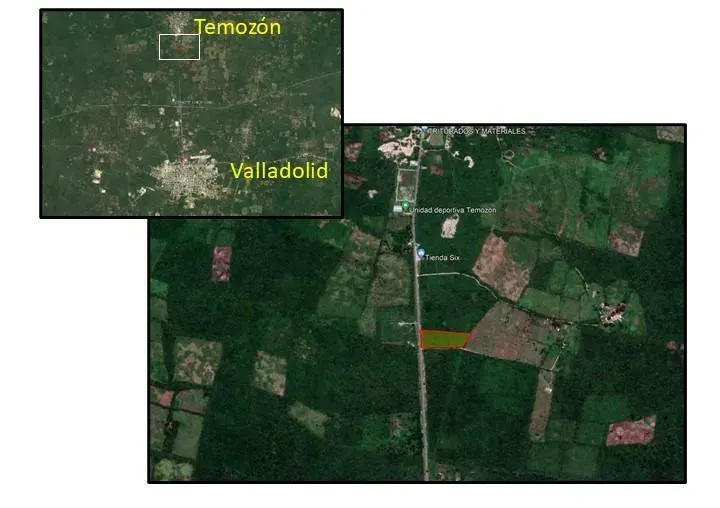 Land in México, Yucatán, Temozón, photo 1