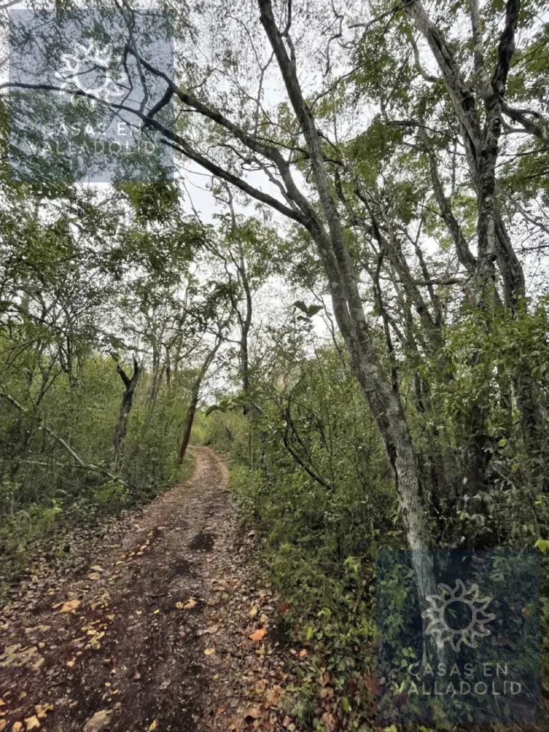 Land in México, Yucatán, Tixcacalcupul, Pueblo Tixcacalcupul, photo 1