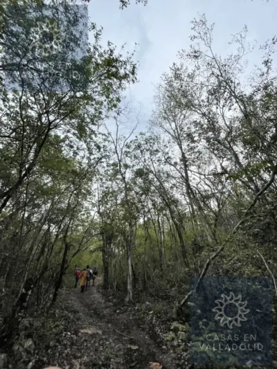 Land in México, Yucatán, Tixcacalcupul, Pueblo Tixcacalcupul, photo 3