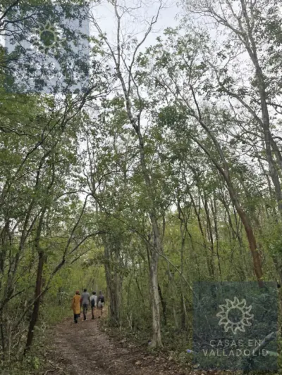 Land in México, Yucatán, Tixcacalcupul, Pueblo Tixcacalcupul, photo 4