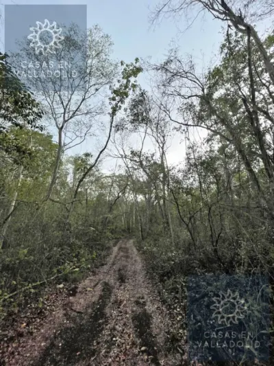 Land in México, Yucatán, Tixcacalcupul, Pueblo Tixcacalcupul, photo 6
