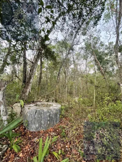 Land in México, Yucatán, Tixcacalcupul, Pueblo Tixcacalcupul, photo 7