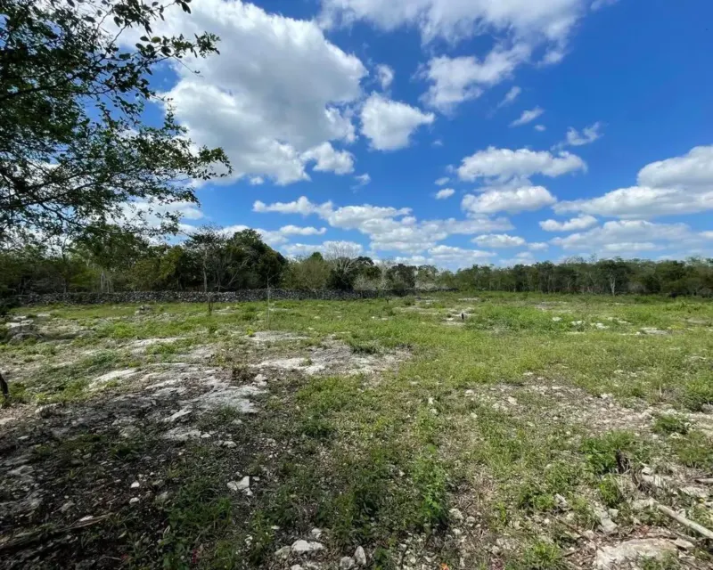 Land in México, Yucatán, Valladolid, photo 1