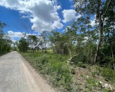 Terreno en México, Yucatán, Valladolid, foto 2