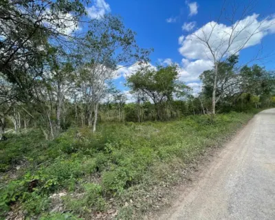 Land in México, Yucatán, Valladolid, photo 3