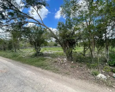 Land in México, Yucatán, Valladolid, photo 5