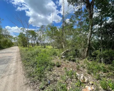 Terreno en México, Yucatán, Valladolid, foto 6