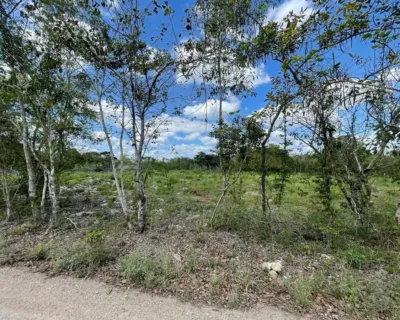 Land in México, Yucatán, Valladolid, photo 7