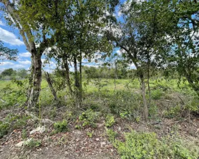 Land in México, Yucatán, Valladolid, photo 8