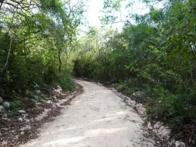 Land in México, Yucatán, Uayma, photo 9