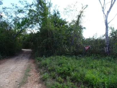 Terreno en México, Yucatán, Uayma, foto 10