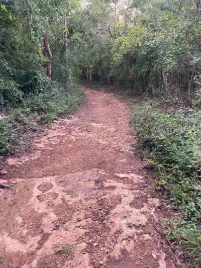 Terreno en México, Yucatán, Uayma, foto 11