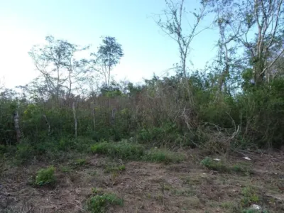 Land in México, Yucatán, Uayma, photo 13
