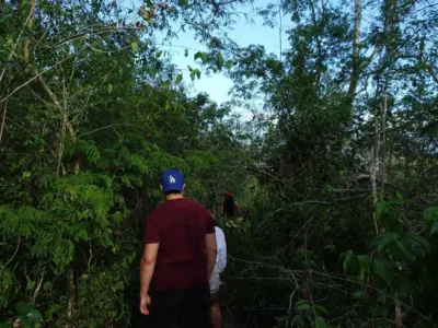 Land in México, Yucatán, Uayma, photo 17
