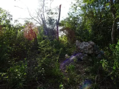 Land in México, Yucatán, Uayma, photo 20