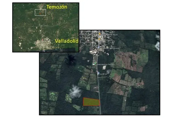 Terreno en México, Yucatán, Temozón, foto 1