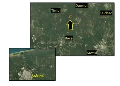 Terreno en México, Yucatán, Dzemul, foto 1
