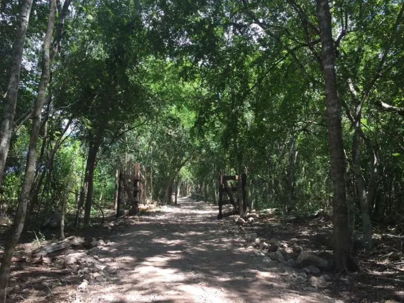 Land in México, Yucatán, Valladolid, photo 1