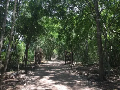 Land in México, Yucatán, Valladolid, photo 1