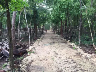 Land in México, Yucatán, Valladolid, photo 2