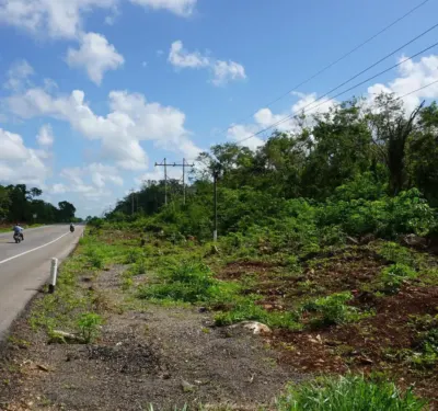 Land in México, Yucatán, Valladolid, photo 1