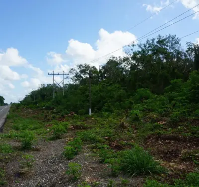 Land in México, Yucatán, Valladolid, photo 2