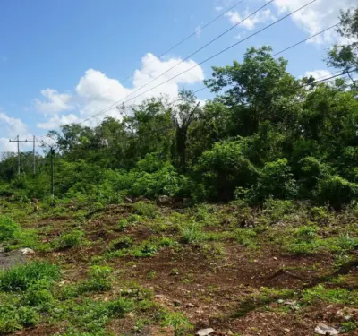 Land in México, Yucatán, Valladolid, photo 3