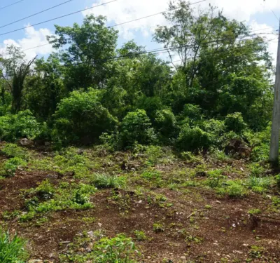 Land in México, Yucatán, Valladolid, photo 5